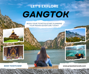 Blue and White Modern Travel India Promo Facebook Post (Facebook Post)